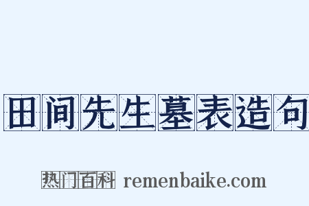 田间先生墓表造句是什么意思的图片